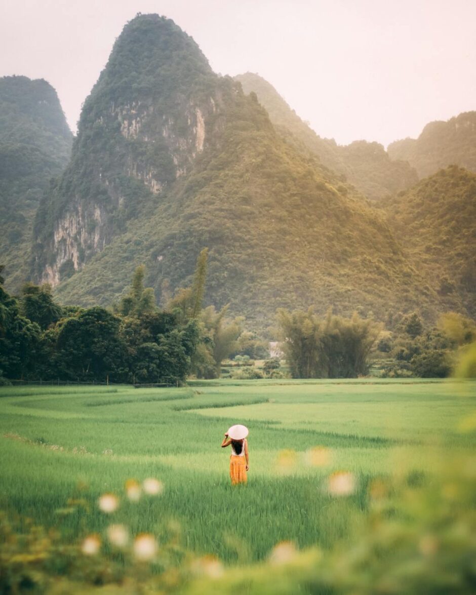 back view of a person standing on a vast green grass field