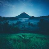 cropland duiring night time