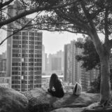 tranquil moment overlooking hong kong skyline