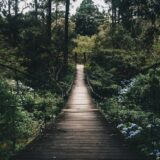 black hanging bridge surrounded by green forest trees