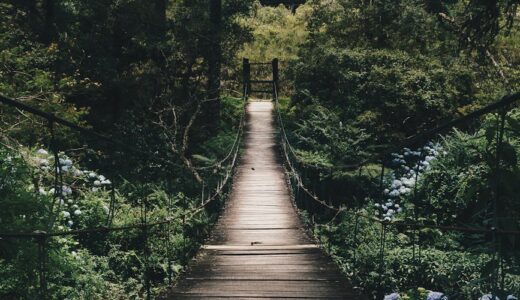 「問題はありません」の裏にある本音