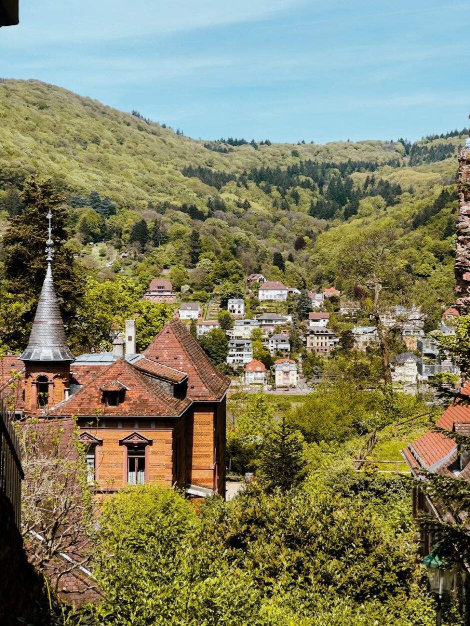 scenic view of heidelberg castle and town